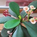 호 노래연습장 이미지