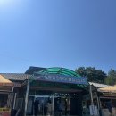 하늘땅바다친구 | 강원도 고성 가볼만한곳 통일전망대 금강산 예약 신분증 절차 통일전망타워 후기 ♥