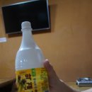 평창 맛집: 현지인추천. 평창 관광지, 켄싱턴플로라 호텔 이쁜 까페