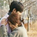 푸른스틸 이미지