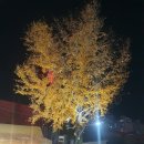 역전할머니맥주(탕정점) 이미지