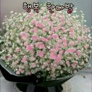 꽃보다부동산공인중개사사무소 이미지