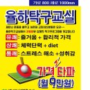 강한선인태권도장 이미지