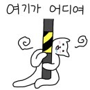 토마틸로목동 이미지