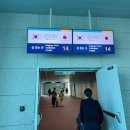 노잼도시 나고야 여행 6일차 마무리 (츄부국제공항, 야바톤 미소카츠, 면세점, 카발란 위스키 등)