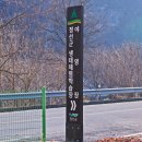 양지-2908 이미지