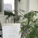 세류2 466-14 | [봉주르플라워Bonjour Flower] 세류역 꽃집/농인 플로리스트/수원에서 부케, 카네이션, 꽃다발 고민...