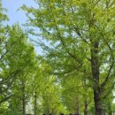 여주고등학교 이미지