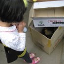 은채상회 이미지