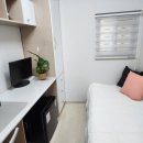 스테이 숲 이미지