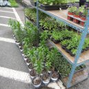 안흥종묘사 이미지