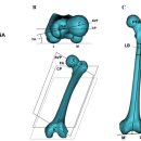 (주)우수헬스케어 이미지