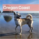 소콜(SOKOL) | 미국 여행 · Oregon Coast | 오리건 해변 · 포틀랜드에서 당일 치기 여행