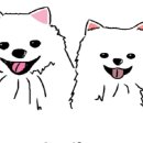 복남슈퍼 네이버블로그