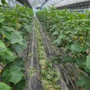 강복농장 이미지