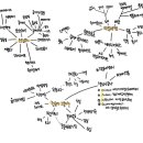 3개월마다 만나는 마이크로 트렌드 Vol.2 포노 씨의 하루