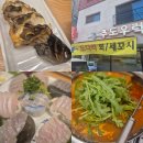 추도우럭 이미지