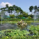 복룡동 어린이놀이테마숲 이미지