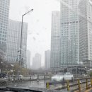 2025년 3월 수원메가쇼 후기