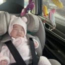 백림스테이 이미지