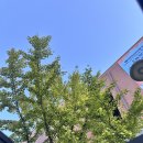 뮤지컬 김종욱찾기 | [뮤지컬] 대학로 뮤지컬 “김종욱 찾기” 관람 후기