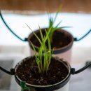 미애농장 이미지