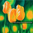 (주)보고유화 이미지