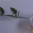 대건중학교 이미지