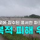 풍서천 천안신문