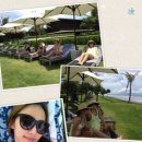 잔디휴가중 이미지