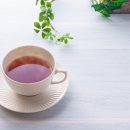 원광대학교 박물관 | 원광디지털대학교 차문화경영학과 2학기 홍차문화 학과목 수강 후기