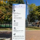 풋살경기장 | 서울 월드컵경기장 풋살구장 후기!