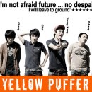 Yellow Puffer ? -new ver- 이미지