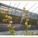 태훈농장 이미지