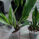 보금농장 이미지