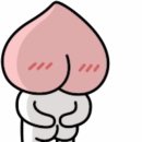 사자카게라지 이미지