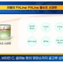 테스트인터내셔널
