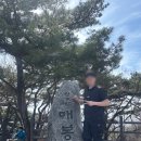 영동농협하나로마트청계산역점 | 청계산 매봉 코스 등산 후기 | 한강 3종 준비 | 등산 코스 추천