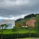 나무아래오후N