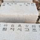 징검다리 이미지