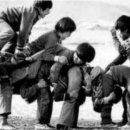 합자회사 경인 Daum카페