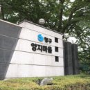 양지마을1로 이미지