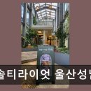 솔티라이엇 울산성남점 소금빵과 버터바의 조화