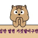 일참치 - 달서구 와룡로 123 | 일참치
