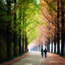 2019-주119 이미지