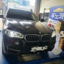 합성견인 이미지