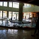 피지푸드팰리스 이미지