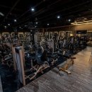 피그말리온짐 프리미엄 이미지