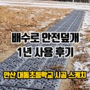 대동초등학교 주변 이미지