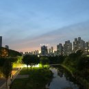 [아드리엘 신혼여행] (6) 대한항공 SSSS 당첨 (모바일 체크인 불가), 기내식 후기